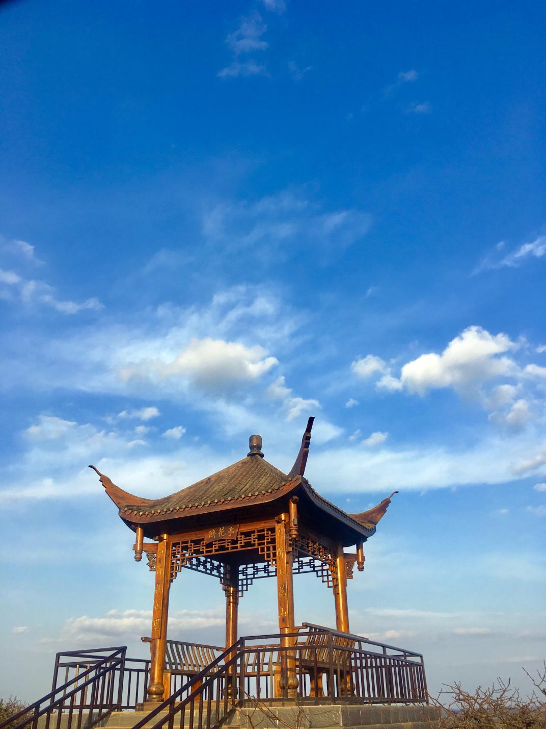 沱江桃花在哪里,沱江赏桃花