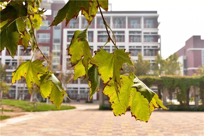 天津医科大学七所直属医院,天津医科大学独立学院是几本