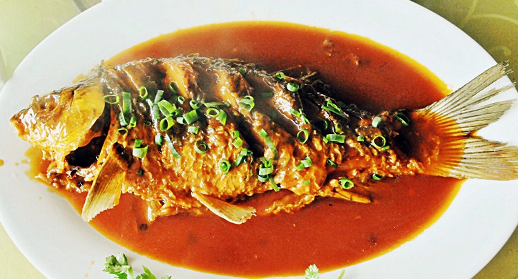 鲤鱼看鲤鱼,鲤鱼看虎鲸