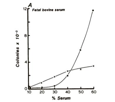 天然胎牛血清,胎牛血清提供的营养物质