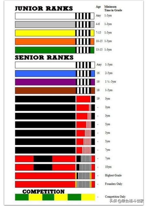 巴西柔术的段位系统白带和蓝带和紫带和棕带和黑带