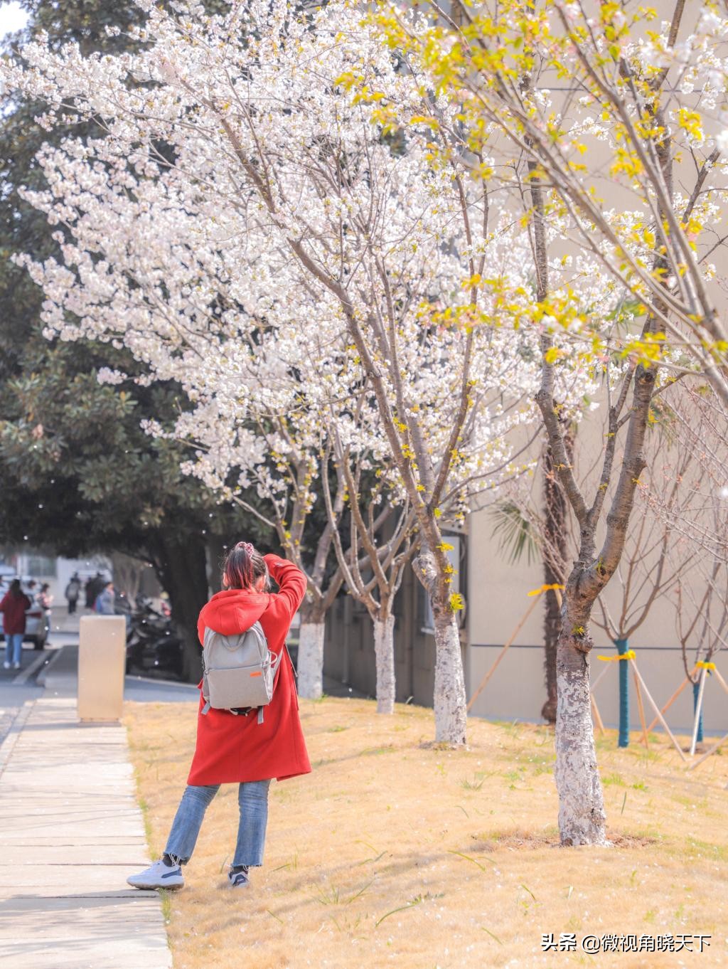 信阳师范学院：回眸但觉烟色浅，不知春意入师院