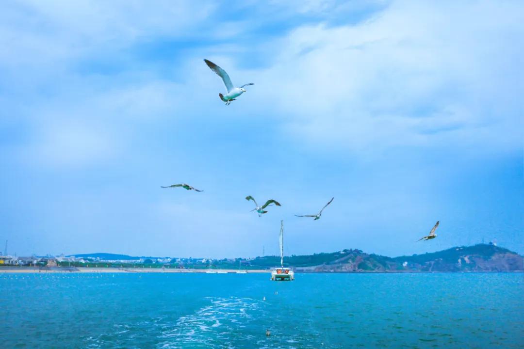 蓬莱自驾游旅游攻略路线推荐,蓬莱自驾游旅游攻略最佳路线