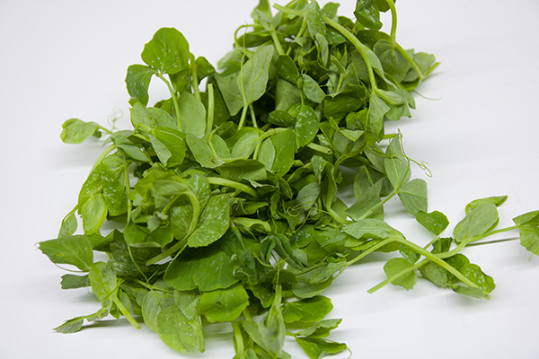 a型血的人可以长期只吃肉吗,a型血不宜多吃肉吗