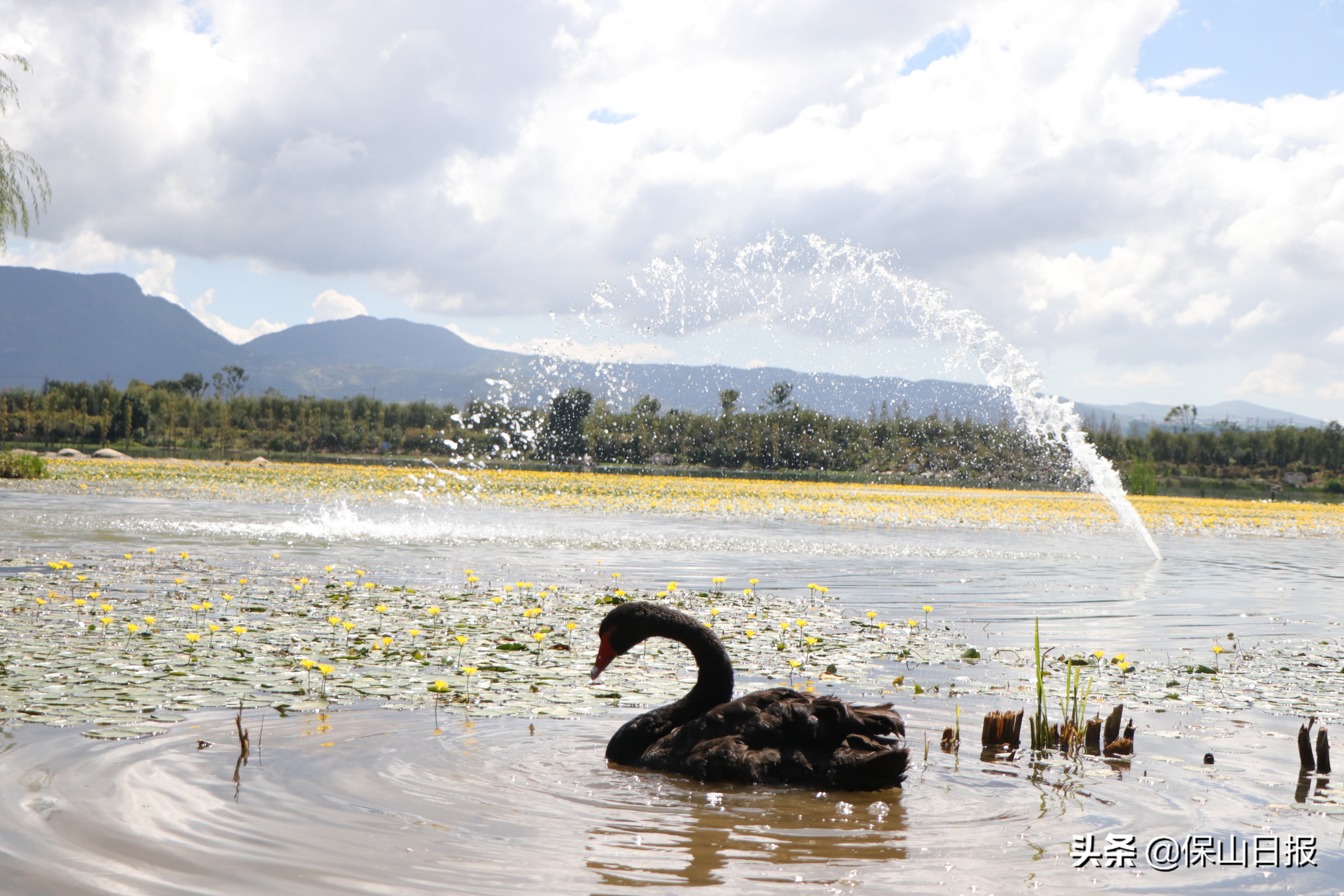 保山:绿水青山牵手“大健康”