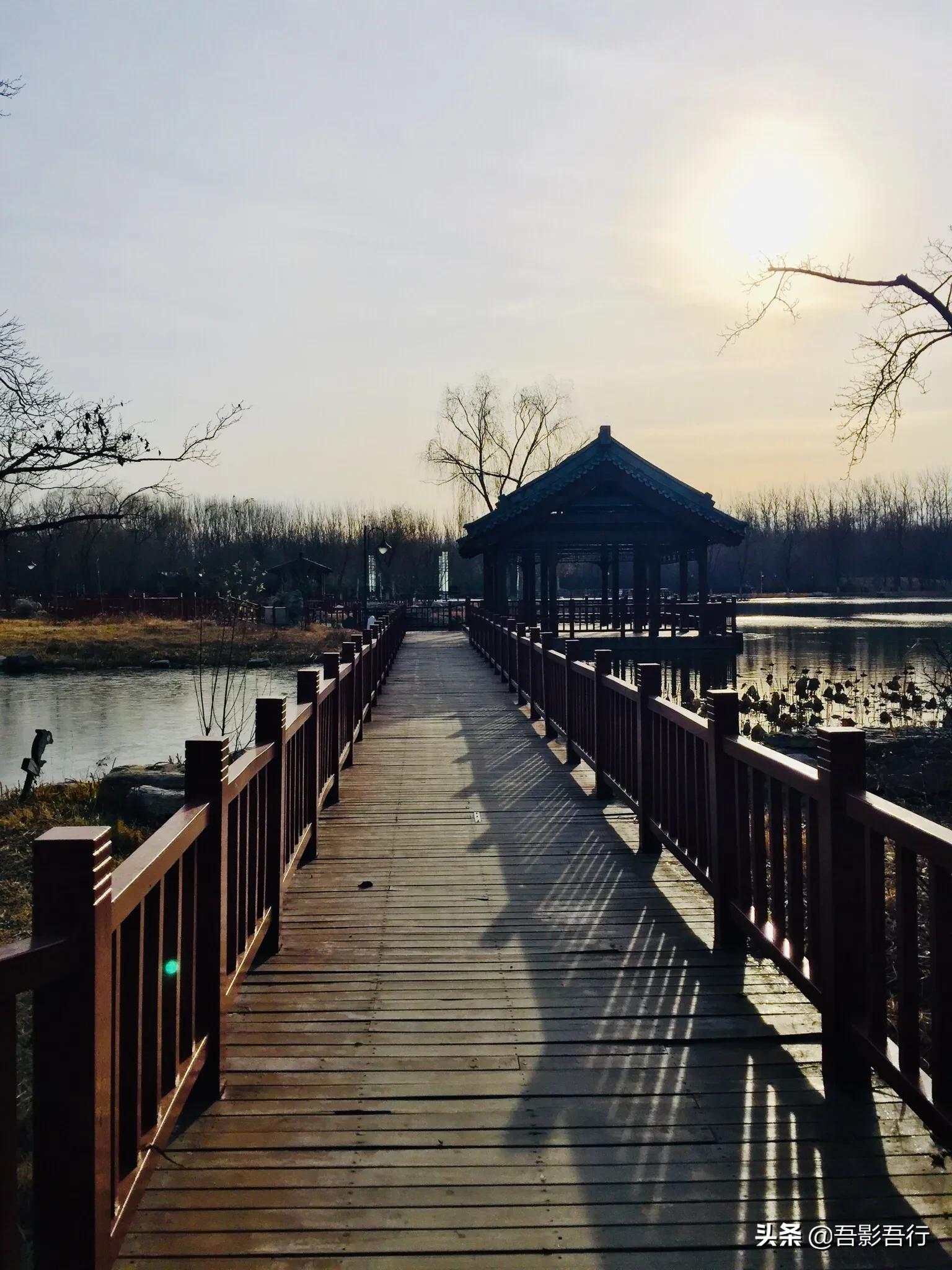 武清津北森林公园有哪些景色,天津武清森林公园开放时间表