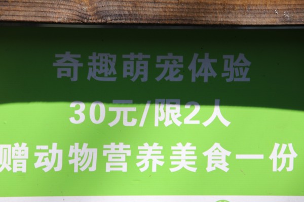 游红山动物园游览顺序,济南野生动物园和南京红山动物园