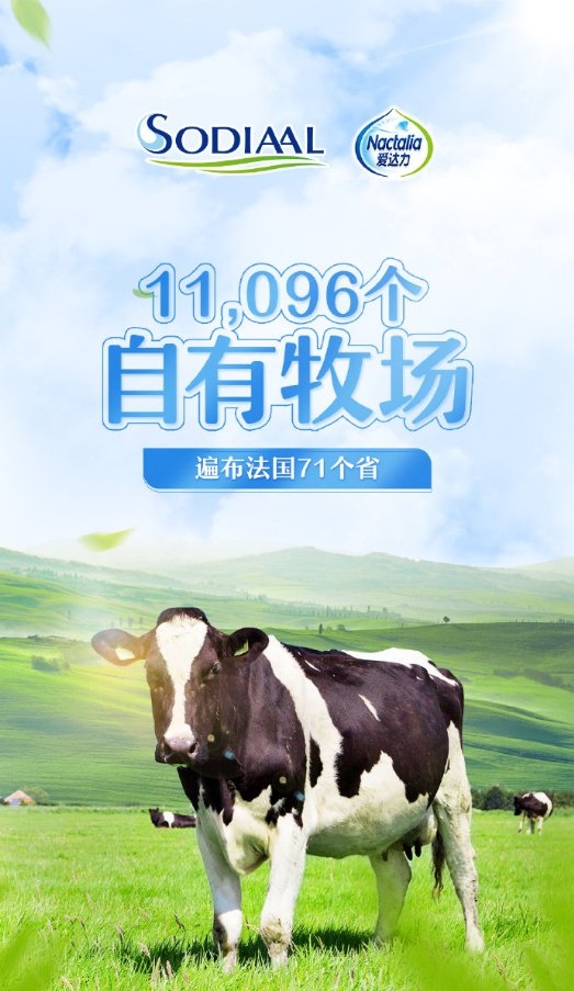 爱达力孕妇奶粉效果怎么样,爱达力婴儿奶粉怎么样