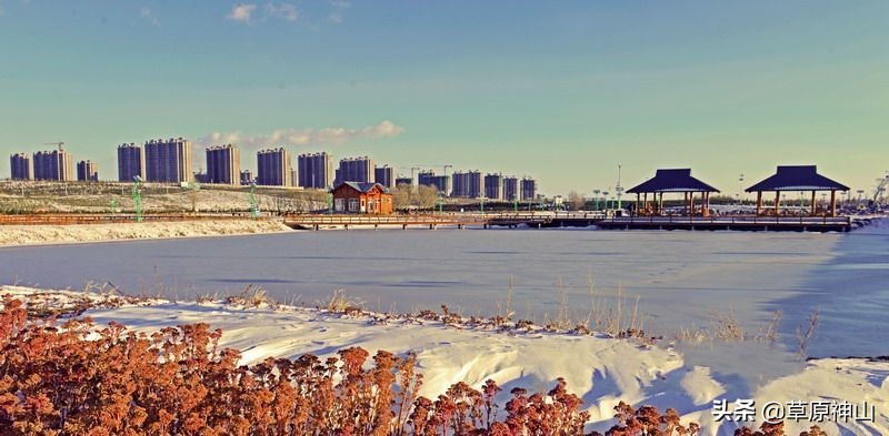 集宁纳尔松老酒,集宁产的纳尔松酒多少钱