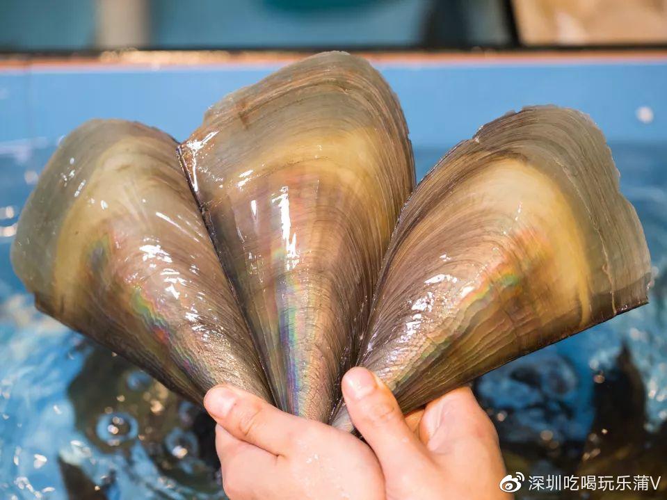 宝安人的顺德饭堂,生蚝用木桶蒸,还加黑松露