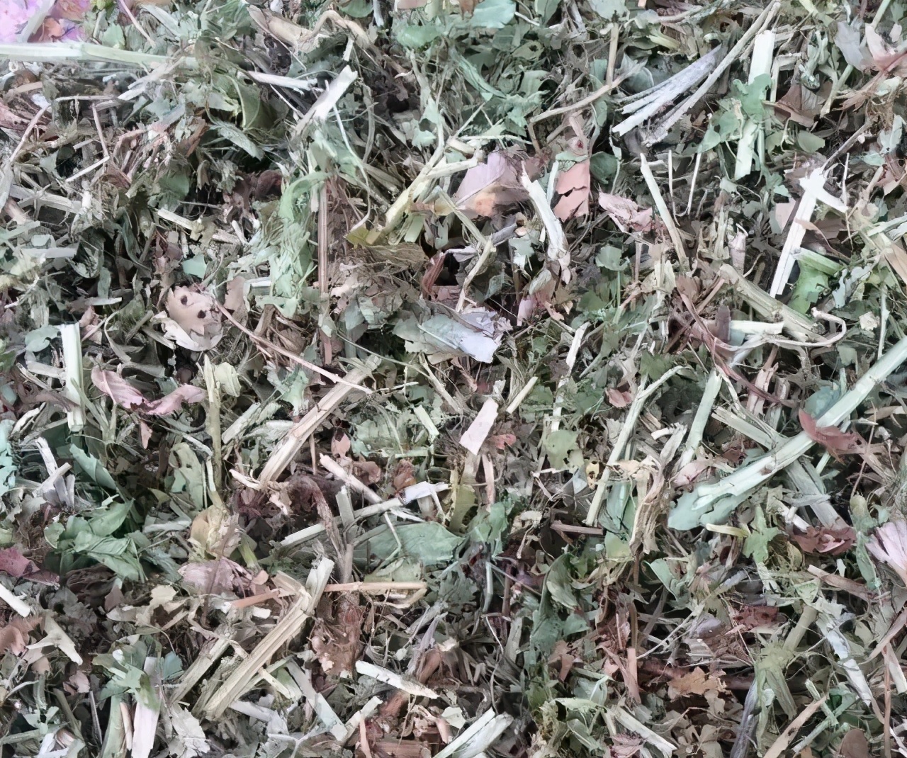 花生秧喂牛羊有什么好处?