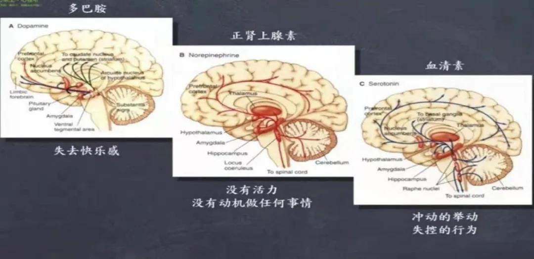 催眠治疗在心理咨询中的应用,心理治疗里的催眠有什么作用
