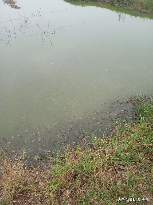 农作物的秸秆如何利用,秸秆要如何科学的处理