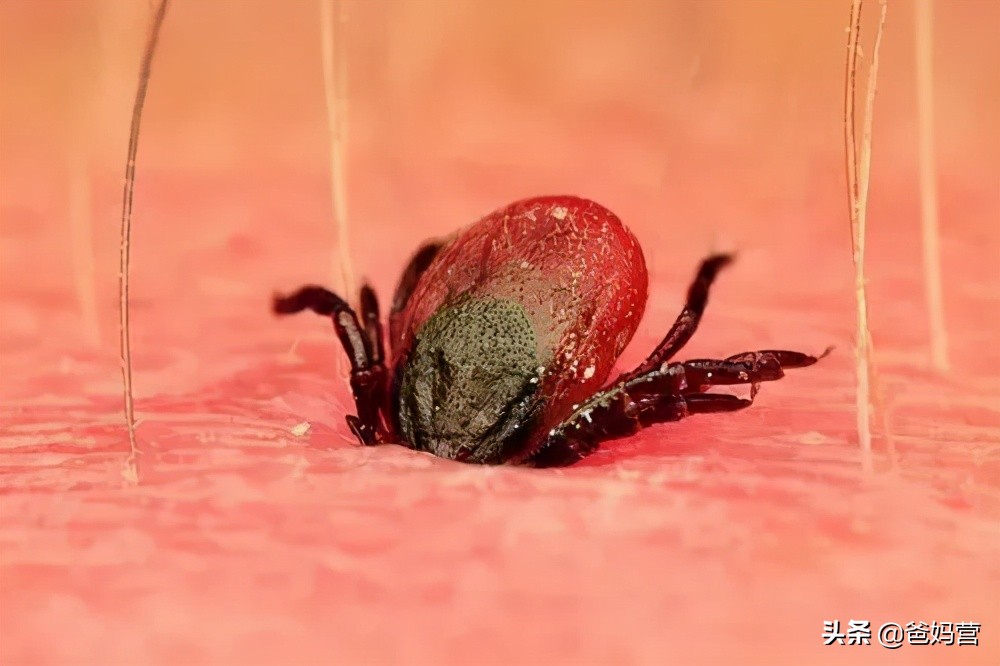 妈妈一拍小孩差点毁容,妈妈拍到孩子的恐怖画面