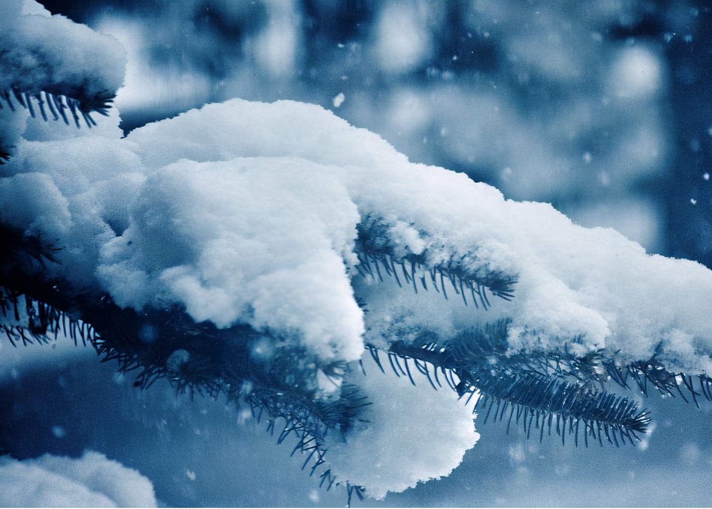 农村俗语冬冷看立冬,立冬是农村说的大冬吗