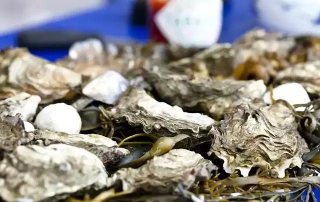 烤生蚝酱料怎么调更好吃,烧烤老板烤生蚝密制酱料秘方