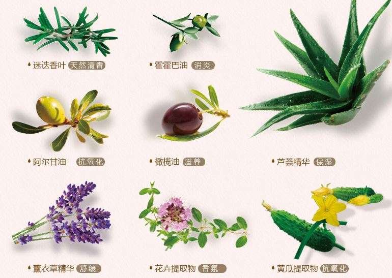 洗发水测评控油止痒澳洲洗发水,进口洗发水推荐哪一款