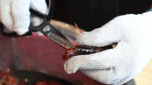 松哥油焖大虾南城榕树下店,松哥油焖大虾多少家店