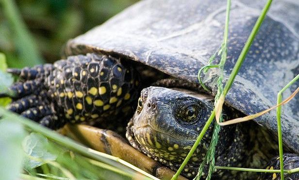 好生伺候着下一句,好生伺候着