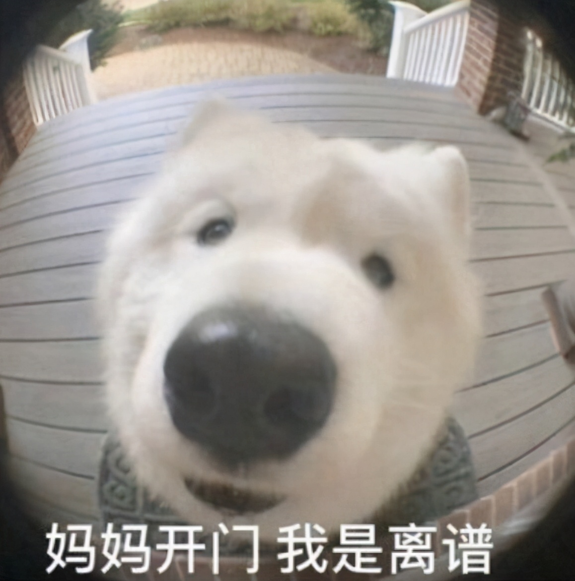 如何鉴别二手显卡是否为矿卡,如何辨别好的二手显卡