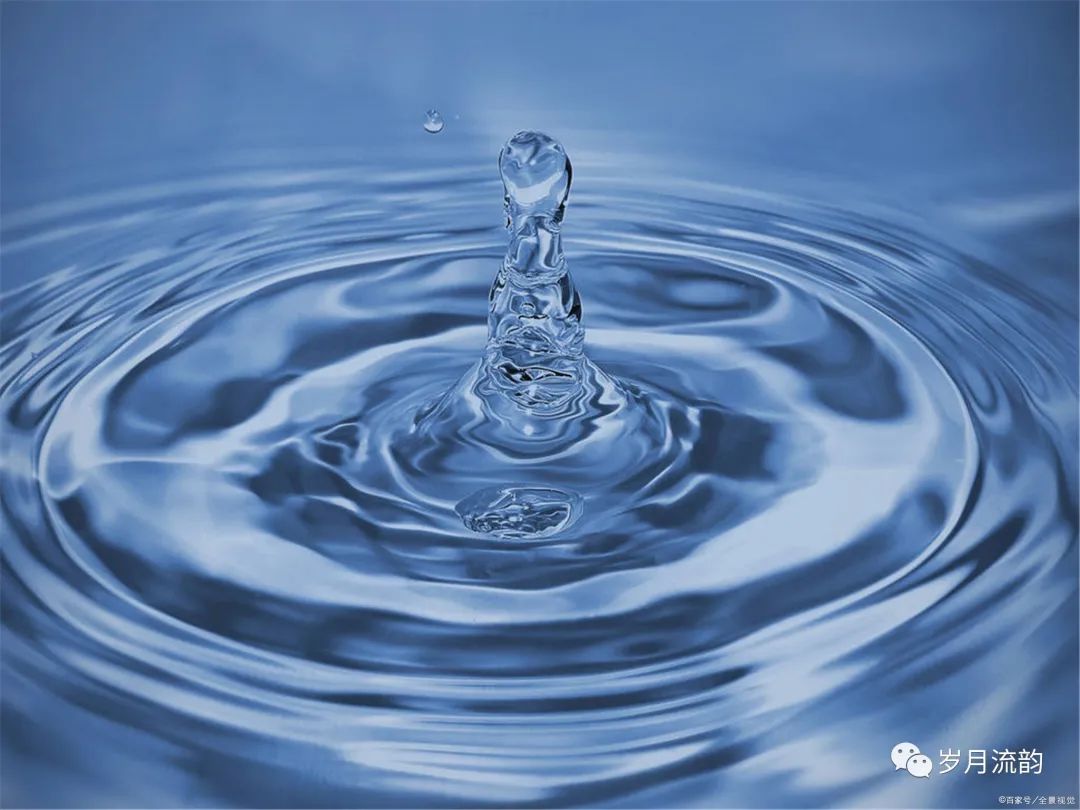 水的自白阅读答案,我的散文随笔