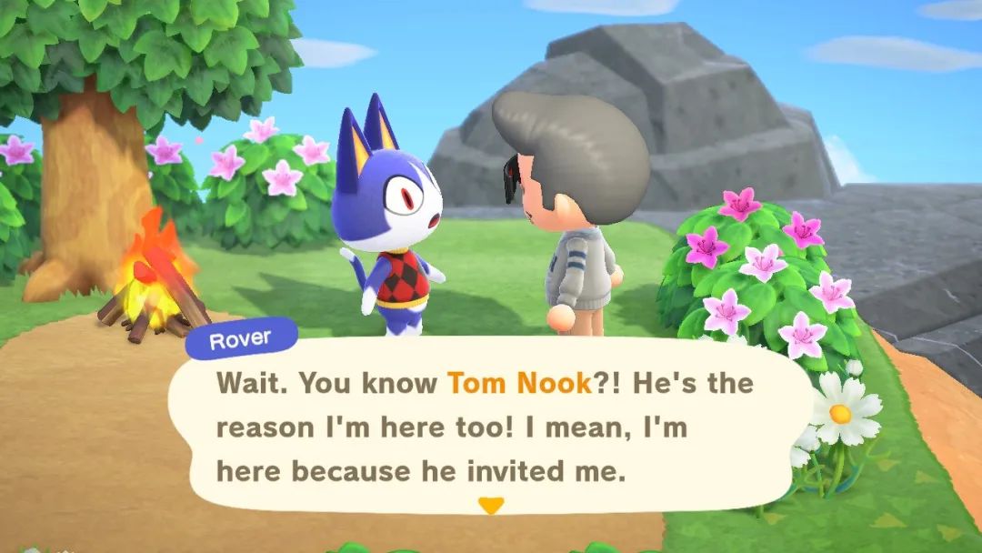 动物森友会背后的恐怖故事,动物森友会少女心爆棚粉色系日常