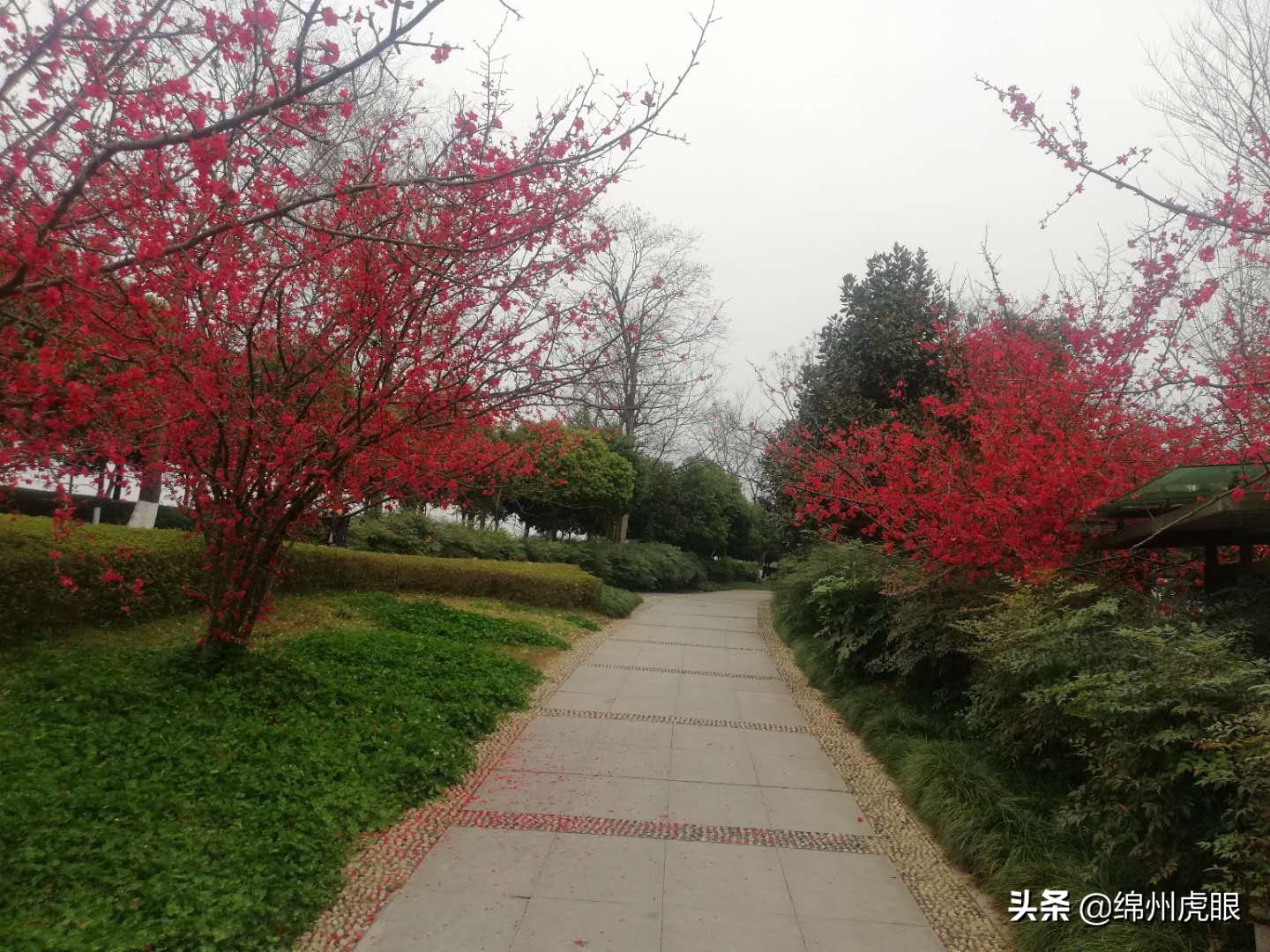 绵阳经开区金和天府房价,绵阳经开区小区房价