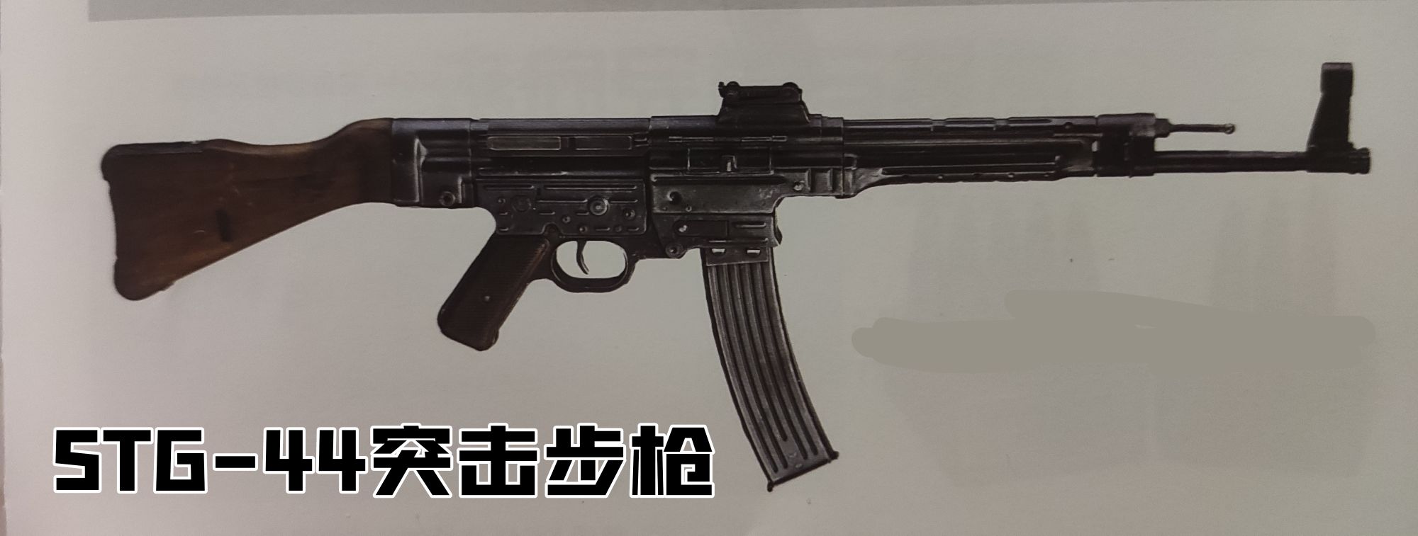 英国枪史图册全篇,德国枪图片