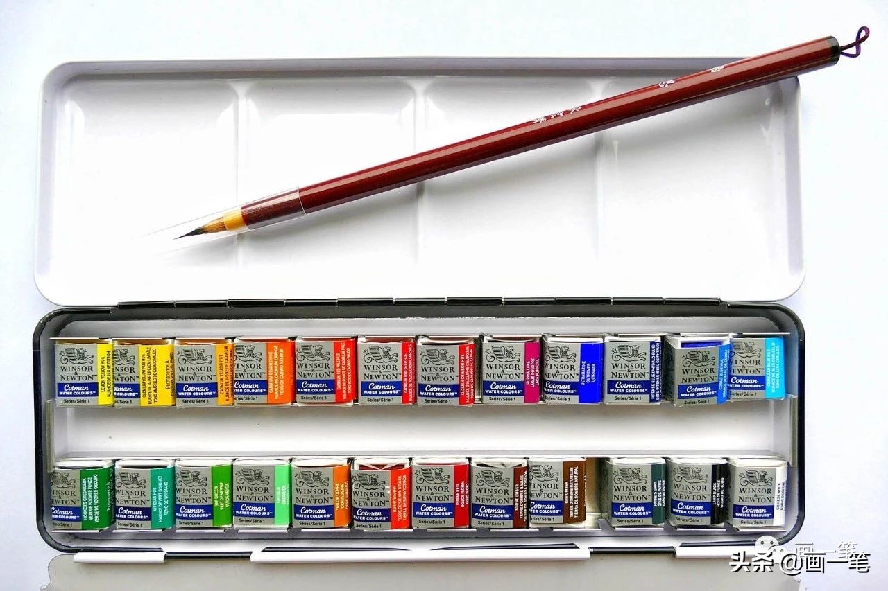 水彩画蝴蝶兰怎么调色,彩铅画花卉蝴蝶兰画法步骤图