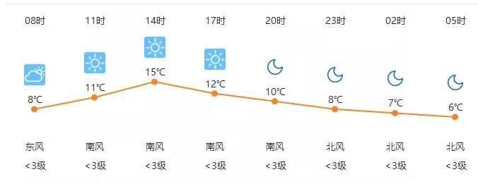 碧桂园体育公园武术大会,碧桂园文化艺术节