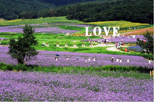 沈阳必去的三大景点沈阳森林公园,沈阳有哪些好玩的旅游景点
