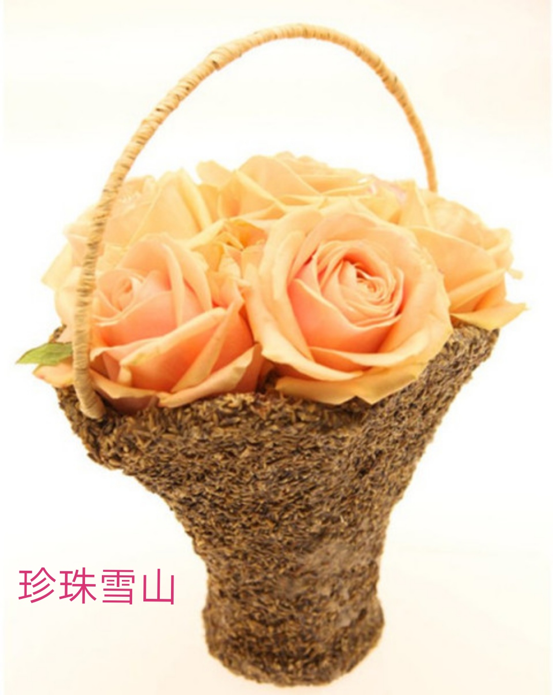 切花火焰月季,适合新手的切花月季