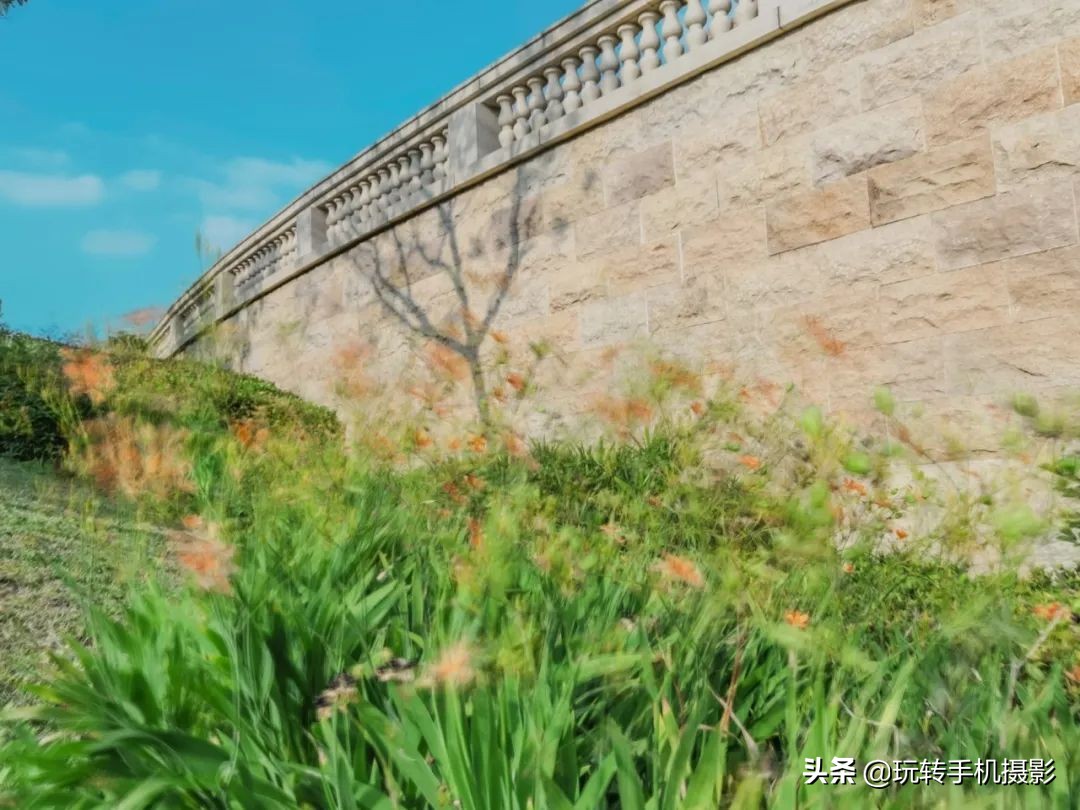 朋友圈点赞率高的照片怎么拍,怎么拍出惊艳的朋友圈效果