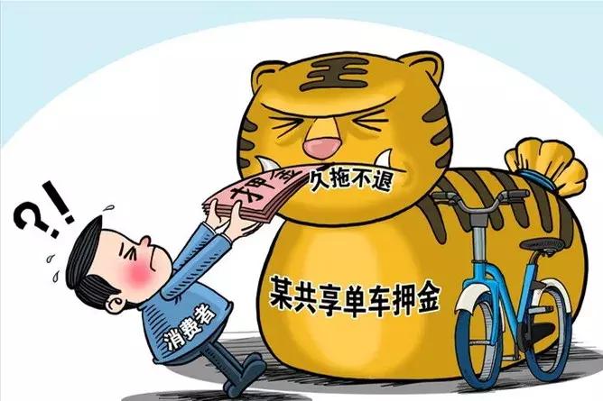 「菲常有料」把代购逼疯的《电商法》到底是什么？