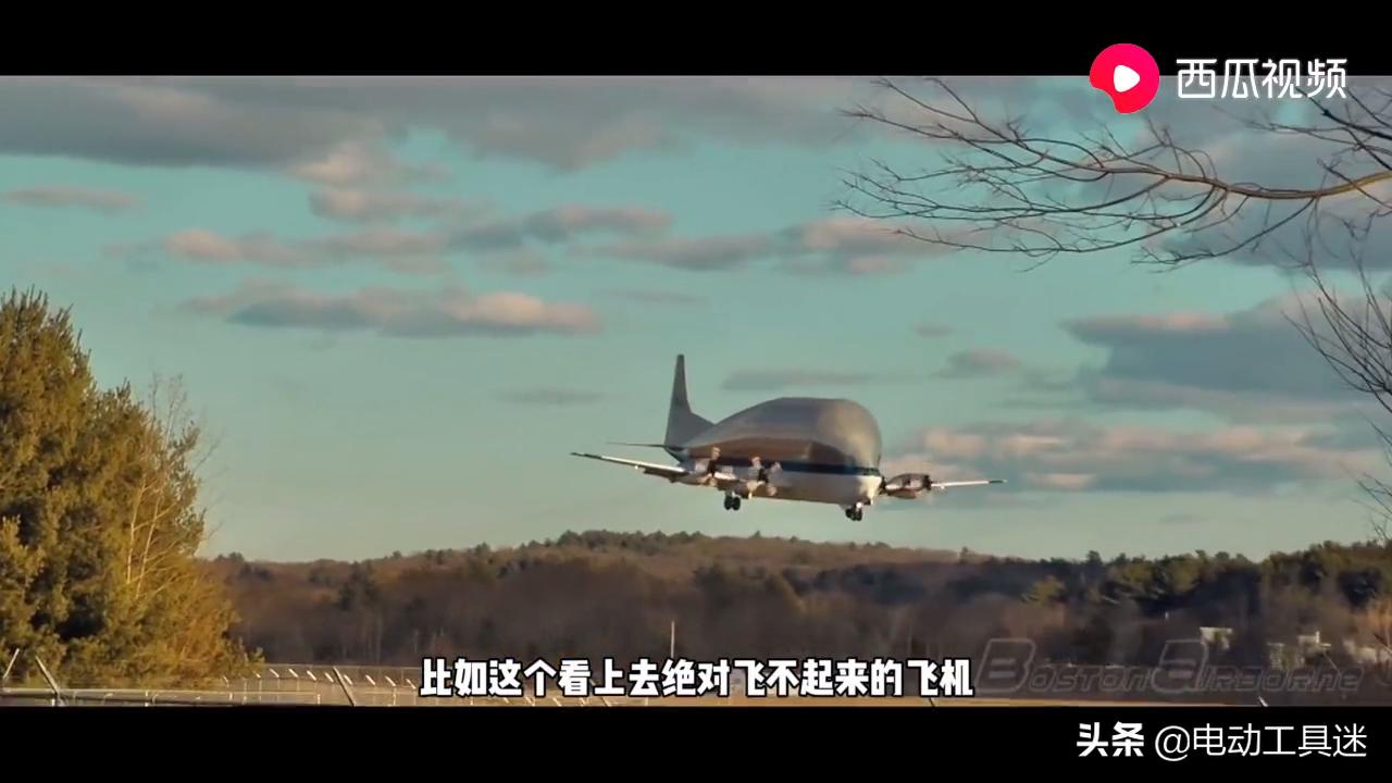刷新你的知识体系，西瓜视频解析：史上最奇葩的飞机超级古比鱼