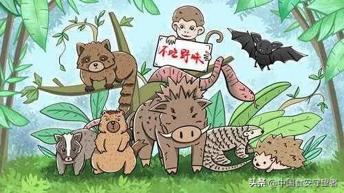 野生动物名录2021,最新三有野生动物名录