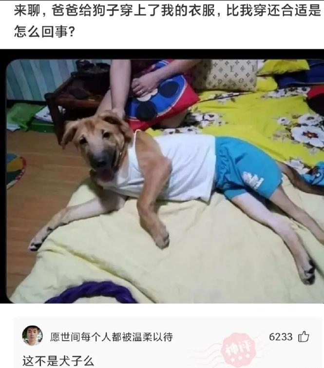 女生发搞笑朋友圈怎么评论,如何评论女生发搞笑朋友圈