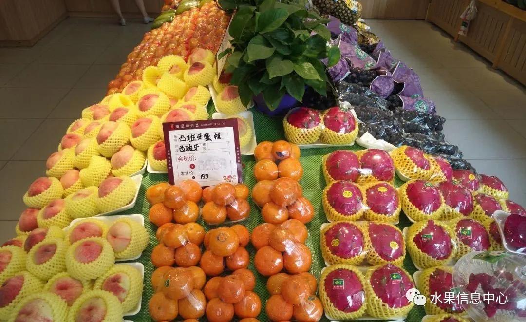 开水果店加盟好还是自己开好,新手开水果店加盟哪个品牌好