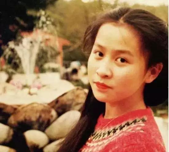 揭秘刘嘉玲当年事件真相,刘嘉玲现在的真实现状