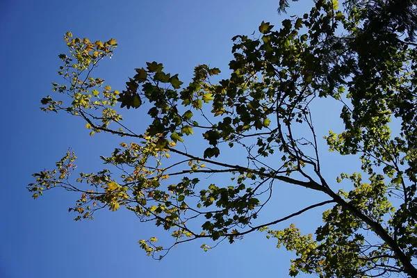 索尼a7c对比索尼6700,索尼a7c和索尼a7m3