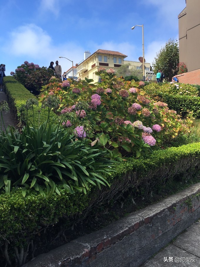 暴走旧金山大街小巷