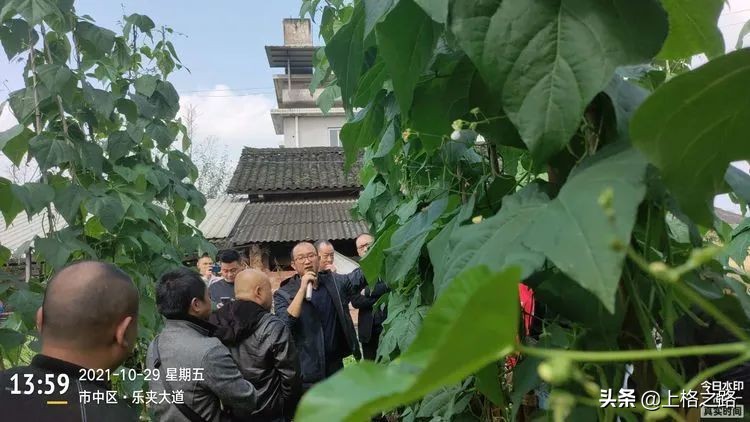 天禾宝赢套装为农作物的丰收保驾护航