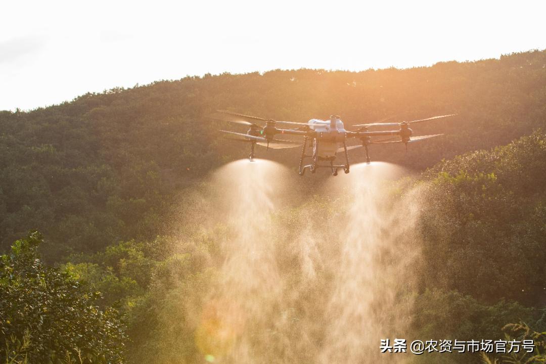 果树发展趋势和前景,我国果树的发展现状及趋势