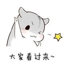 厦门春运火车票订票,厦门火车票几点开售