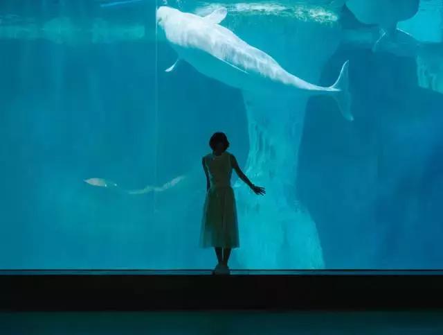 武汉最新古与潮室内网红打卡点,武汉周边新晋7大网红打卡地