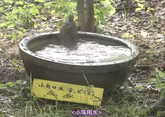 人生果实津端修一,人生果实日本老人纪录片