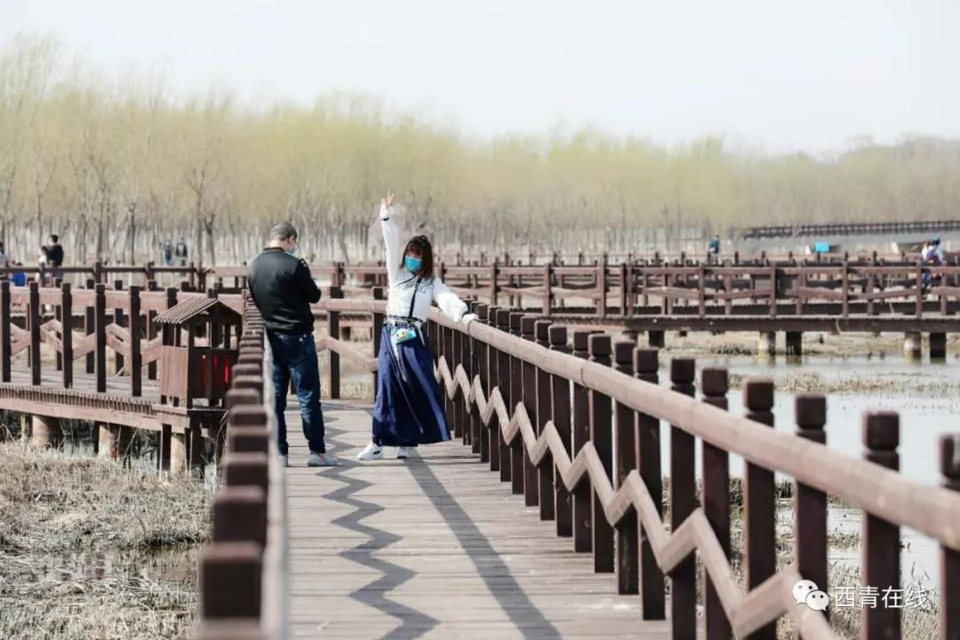 泰安免费公园和踏青好去处,准备好了吗带你畅游河南