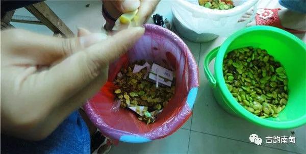 姊佹渤鐗硅壊缇庨,姊佹渤鐗硅壊缇庨鎺ㄨ崘