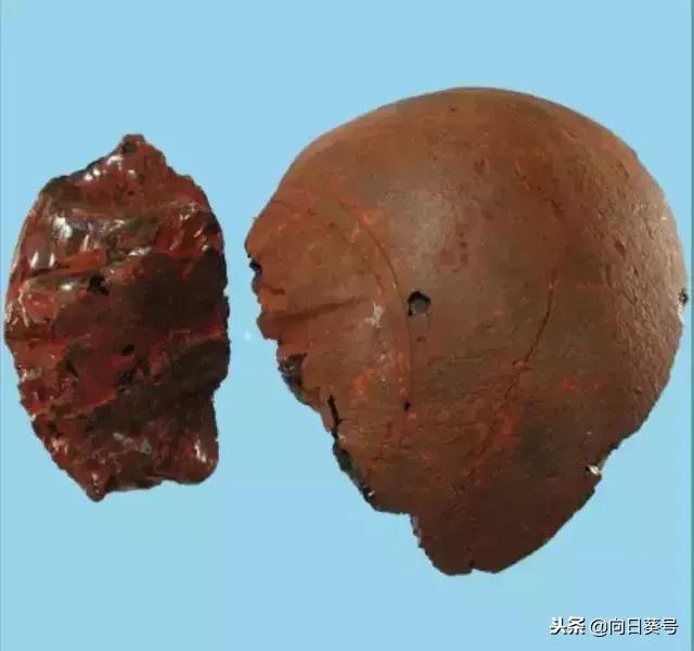 每日一药全部视频,每日一药当归