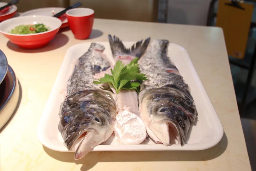 专注制作鱼火锅,专业做鱼蛙火锅整整20年了